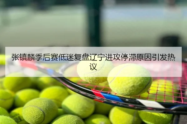 张镇麟季后赛低迷复盘辽宁进攻停滞原因引发热议