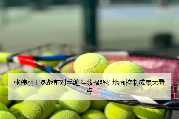 张伟丽卫冕战前对手缠斗数据解析地面控制成最大看点